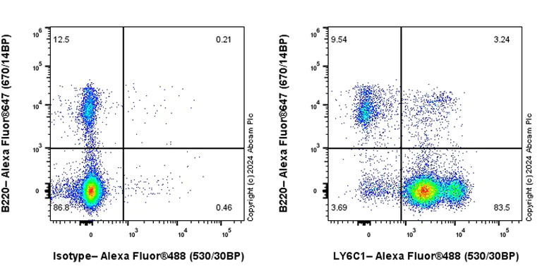 Flow Cytometry - Anti-LY6C antibody [RM1151] - BSA and Azide free (AB317273)