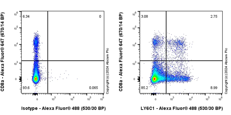 Flow Cytometry - Anti-LY6C antibody [RM1151] - BSA and Azide free (AB317273)