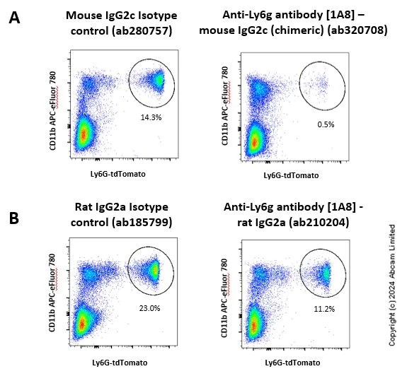 Functional Studies (Depl) - Anti-Ly6g antibody [1A8] - Low endotoxin, Azide free (AB210204)