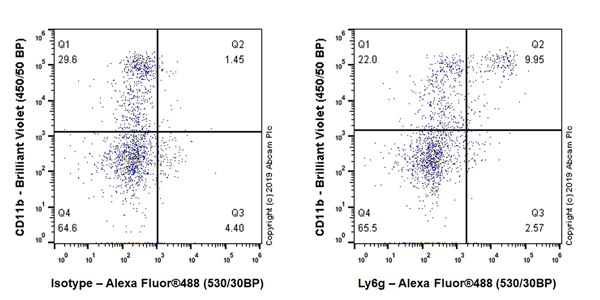 Flow Cytometry - Anti-Ly6g antibody [EPR22909-135] - BSA and Azide free (AB261916)