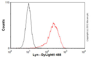 Flow Cytometry - Anti-Lyn antibody [LYN-01] (AB1890), expandable thumbnail