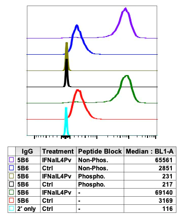Flow Cytometry - Anti-Lyn (phospho Y507) antibody [LynY507-5B6] (AB278639)