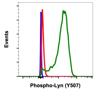 Flow Cytometry - Anti-Lyn (phospho Y507) antibody [LynY507-5B6] (AB278639)