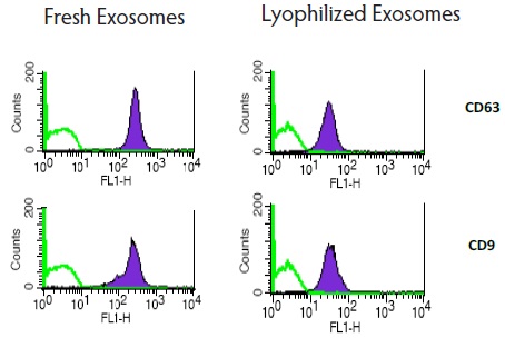 Flow Cytometry - Lyophilized Exosome Standard (100 µg, Human Urine) (AB286884), expandable thumbnail
