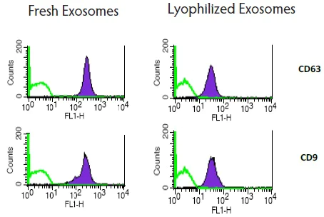 Flow Cytometry - Lyophilized Exosome Standard (100 µg, Human Urine) (AB286884)