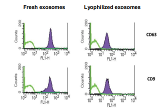 Flow Cytometry - Lyophilized Exosome Standard (Human Plasma) (AB288118), expandable thumbnail