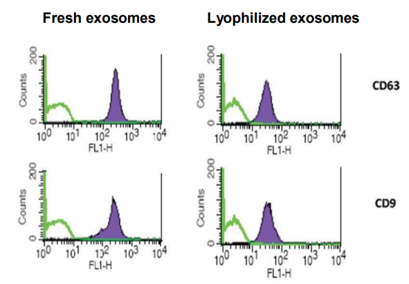 Flow Cytometry - Lyophilized Exosome Standard (U87 MG) (AB286885), expandable thumbnail