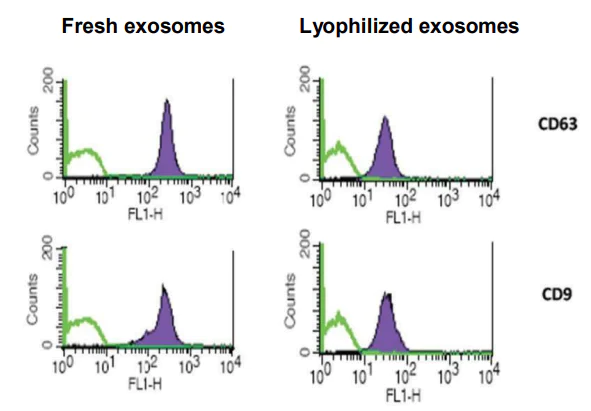 凍結乾燥エクソソーム標準（U87 MG）製品画像