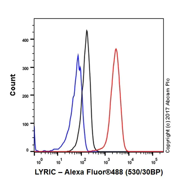 Flow Cytometry (Intracellular) - Anti-LYRIC/AEG1 antibody [EPR20797] - BSA and Azide free (AB229128)