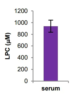 Functional Studies - Lysophosphatidylcholine Assay Kit (Colorimetric/Fluorometric) (AB273332)