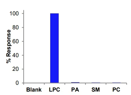 Functional Studies - Lysophosphatidylcholine Assay Kit (Colorimetric/Fluorometric) (AB273332)