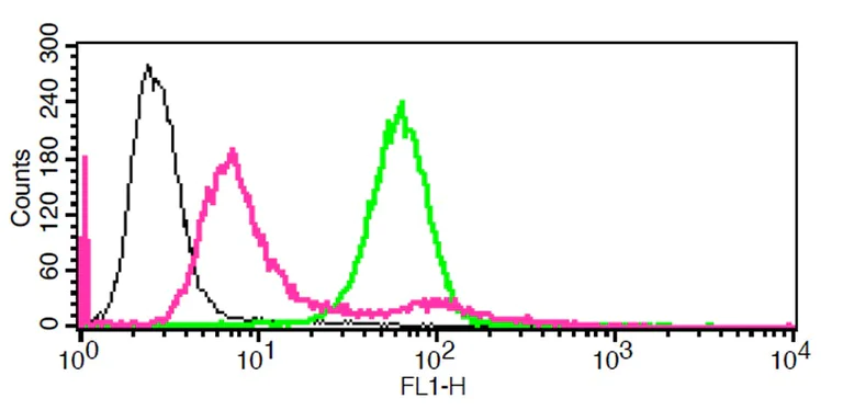 Functional Studies - Lysosomal Intracellular Activity Assay Kit (AB234622)