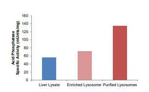 Functional Studies - Lysosome Isolation Kit (AB234047)