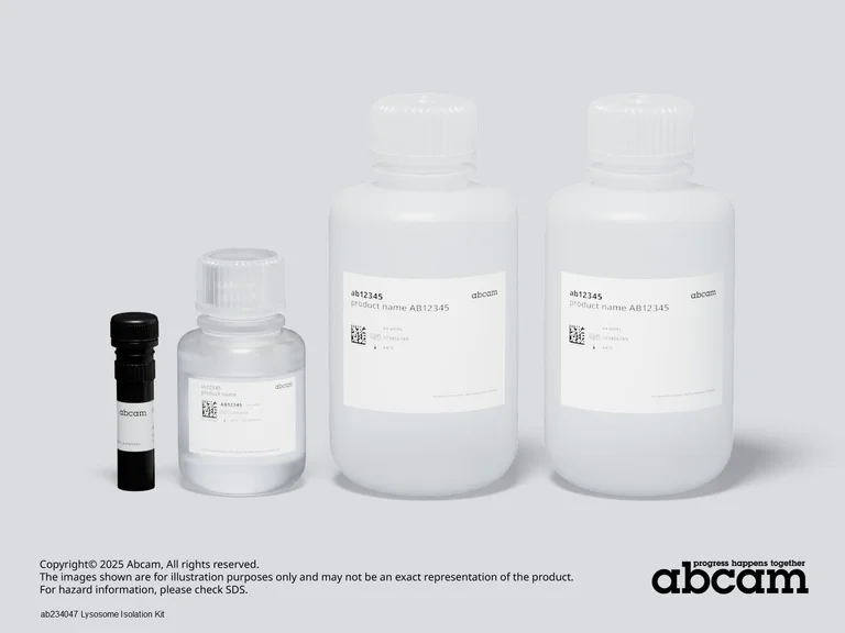 Schematic Diagram - Lysosome Isolation Kit (AB234047)