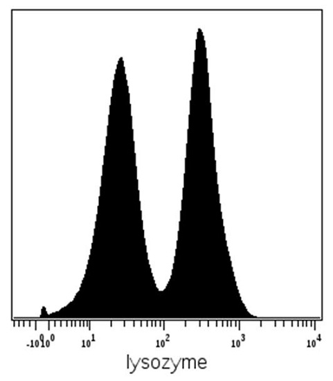 Flow Cytometry (Intracellular) - Anti-Lysozyme antibody [LZ598-10G9] (AB234194)
