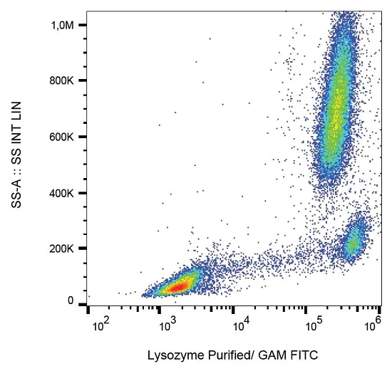Flow Cytometry (Intracellular) - Anti-Lysozyme antibody [LZ598-10G9] (AB234194)