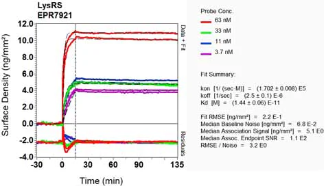 OI-RD Scanning - Anti-LysRS antibody [EPR7921] (AB129080)