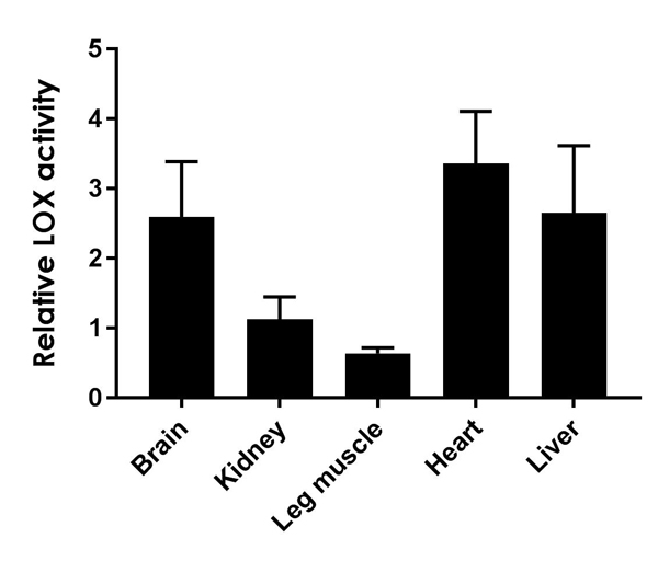 Lysyl Oxidase Activity Assay Kit (Fluorometric)