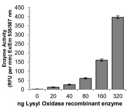 Functional Studies - Lysyl Oxidase Activity Assay Kit (Fluorometric) (AB284573)