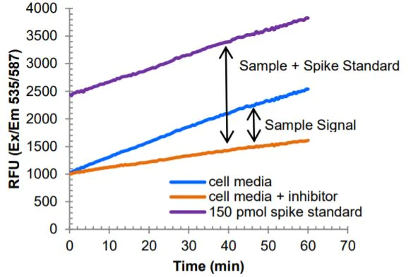 Functional Studies - Lysyl Oxidase Activity Assay Kit (Fluorometric) (AB284573)