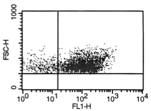 Flow Cytometry - Anti-LYVE1 antibody (AB10278)