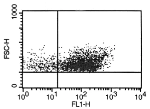 Flow Cytometry - Anti-LYVE1 antibody (AB36993)