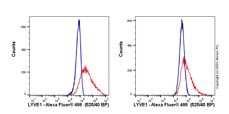 Flow Cytometry - Anti-LYVE1 antibody [EPR21771] (ab218535), expandable thumbnail