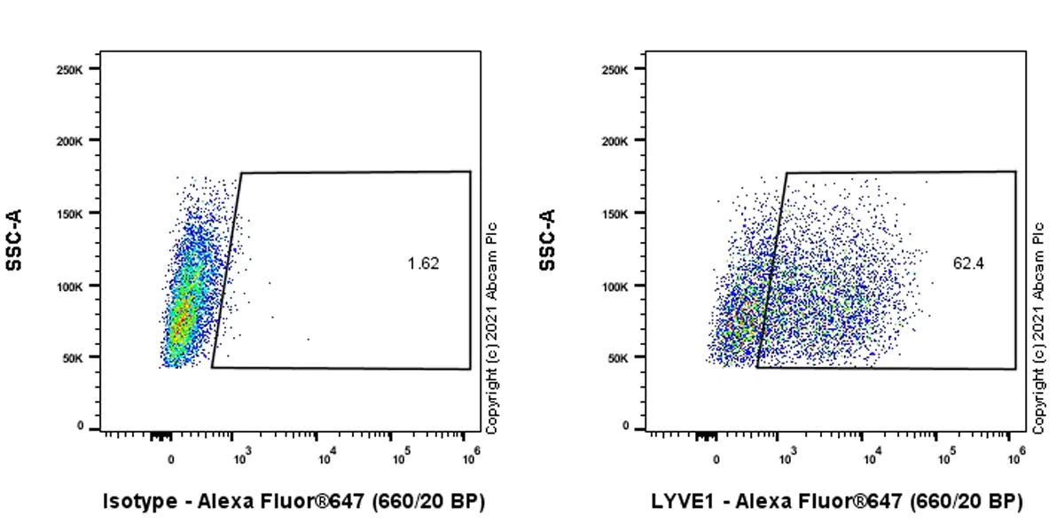 Flow Cytometry - Anti-LYVE1 antibody [RM1008] - BSA and Azide free (AB282748), expandable thumbnail