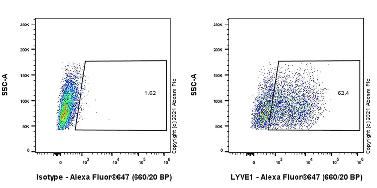 Flow Cytometry - Anti-LYVE1 antibody [RM1008] - BSA and Azide free (AB282748)