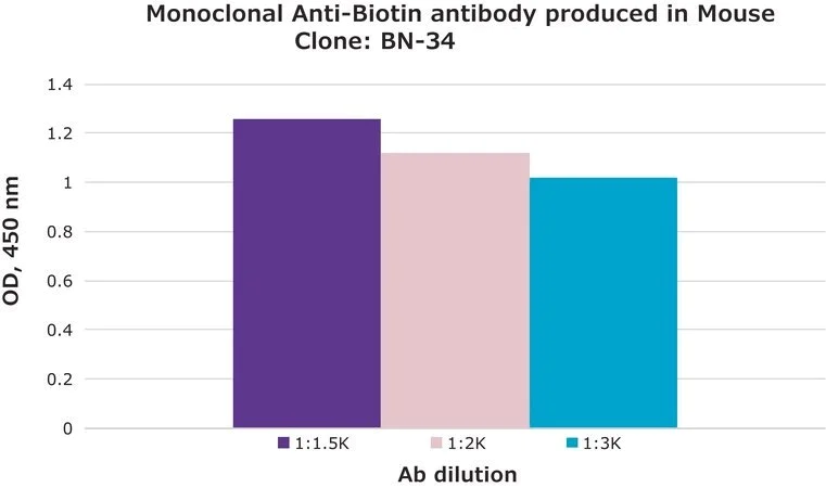 Indirect ELISA - Anti-M13 + Fd Bacteriophage Coat Proteins antibody (AB6188)