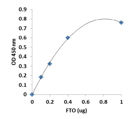 Functional Studies - m6A Demethylase Assay Kit (AB233489)