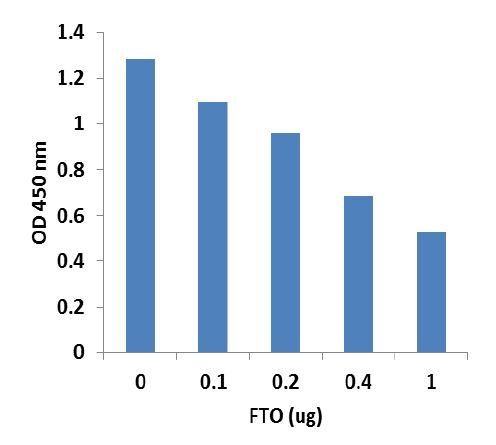 Functional Studies - m6A Demethylase Assay Kit (AB233489)