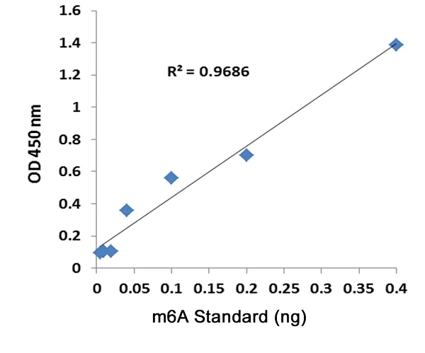 Functional Studies - m6A DNA Methylation Assay Kit (Colorimetric) (AB233488)