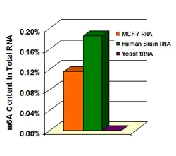 ELISA - m6A RNA Methylation Assay Kit (Colorimetric) (AB185912)