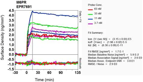 OI-RD Scanning - Anti-M6PR (cation dependent) antibody [EPR7691] (AB134153)