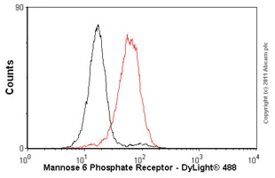 Flow Cytometry (Intracellular) - Anti-M6PR (cation independent) antibody [2G11] (AB2733)