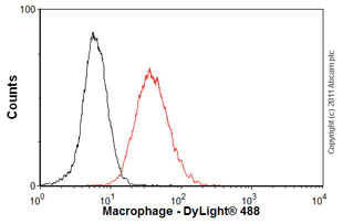 Flow Cytometry - Anti-Macrophage antibody [RM0029-11H3] (AB56297)