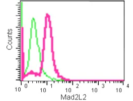 Flow Cytometry (Intracellular) - Anti-Mad2L2/REV7 antibody [EPR13657] - BSA and Azide free (AB232620)