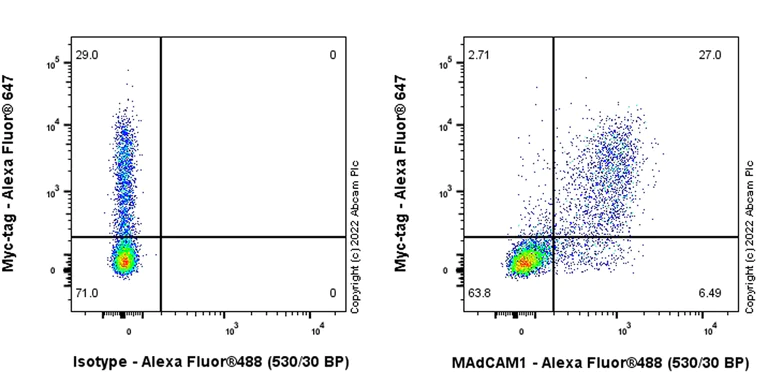 Flow Cytometry (Intracellular) - Anti-MAdCAM1 antibody [EPR27555-87] - BSA and Azide free (AB307735)