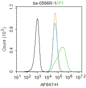 Flow Cytometry - Anti-MADH7/SMAD7 antibody (AB216428)
