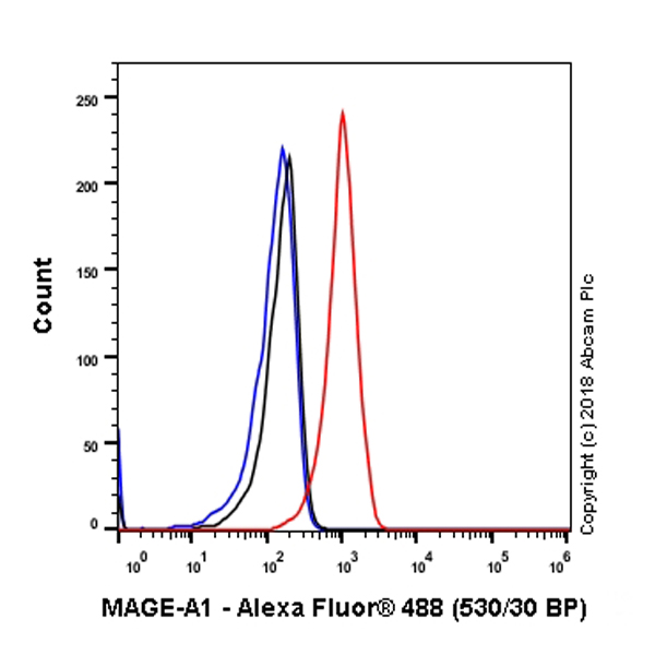 Flow Cytometry (Intracellular) - Anti-MAGEA1 antibody [SP188] (ab227664), expandable thumbnail