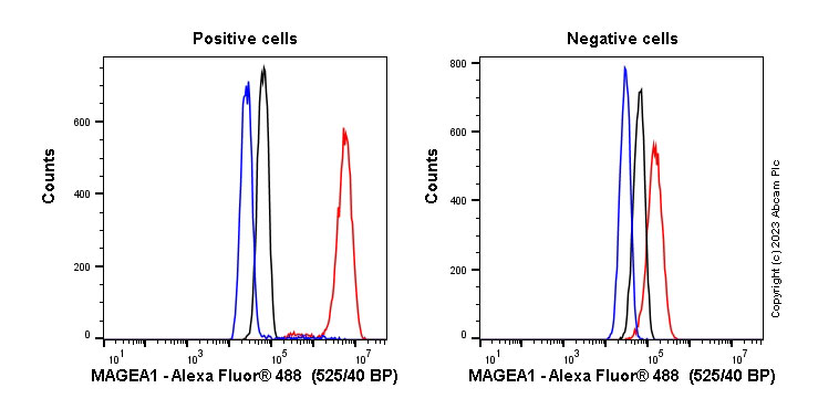 Flow Cytometry (Intracellular) - Anti-MAGEA1 antibody [SP188] (AB227664), expandable thumbnail