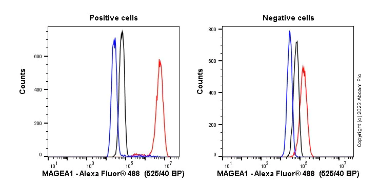 Flow Cytometry (Intracellular) - Anti-MAGEA1 antibody [SP188] (AB227664)