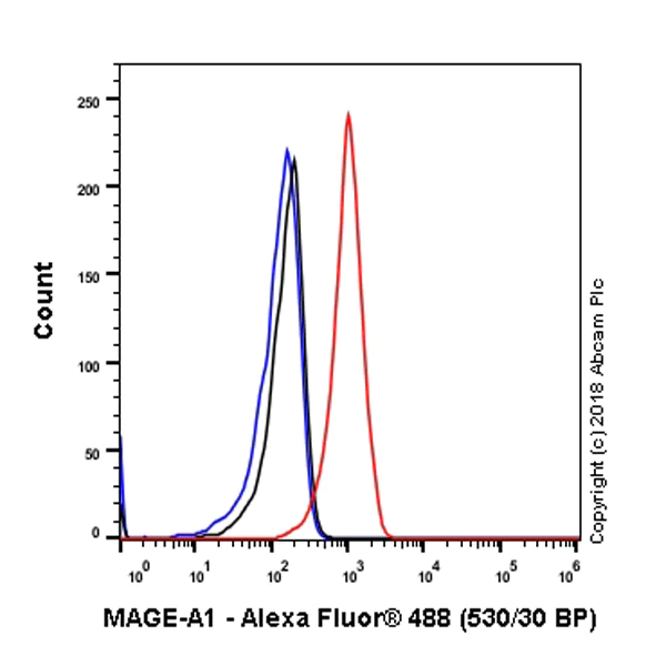 Flow Cytometry (Intracellular) - Anti-MAGEA1 antibody [SP188] - BSA and Azide free (AB243935)