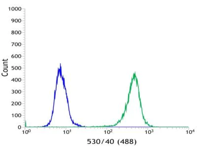 Flow Cytometry (Intracellular) - Anti-MAGEA1 antibody [SP194] - BSA and Azide free (AB245755)