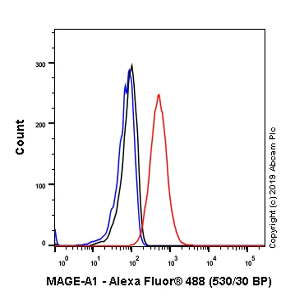 Flow Cytometry (Intracellular) - Anti-MAGEA1 antibody [SP194] - C-terminal (AB183309)