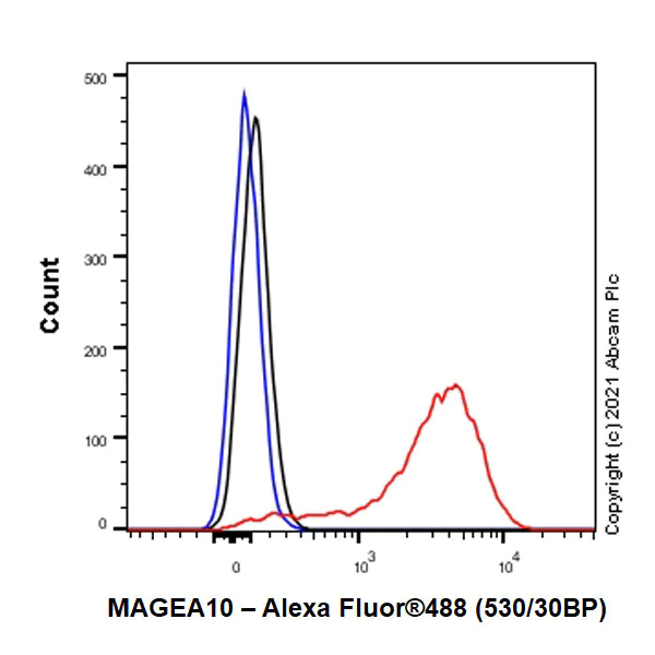 Flow Cytometry (Intracellular) - Anti-MAGEA10 antibody [EPR24366-89] (AB271057)