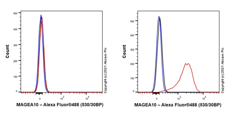 Flow Cytometry (Intracellular) - Anti-MAGEA10 antibody [EPR24366-89] (AB271057)
