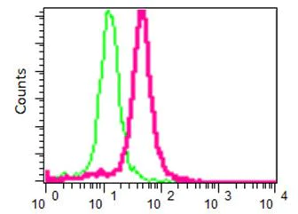 Flow Cytometry (Intracellular) - Anti-MAGEA9 antibody [EPR16258] (AB191568)