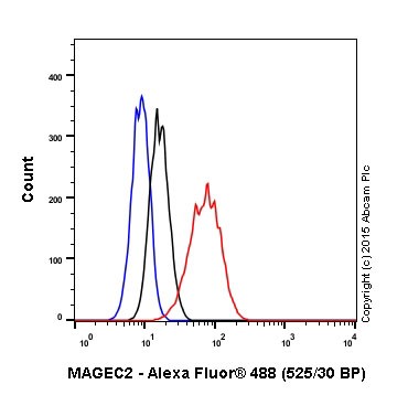 Flow Cytometry (Intracellular) - Anti-MAGEC2 antibody [EPR19064] - BSA and Azide free (ab223794), expandable thumbnail